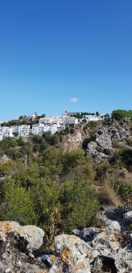 Puerto Estepona Eksteriør bilde
